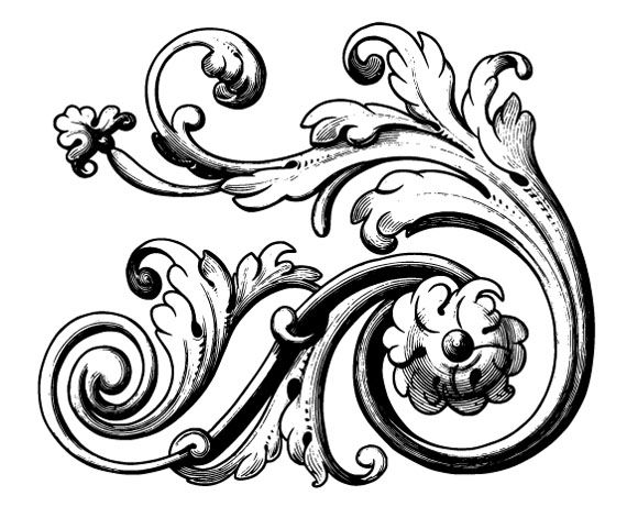 570x461 Flourish Vector Sample