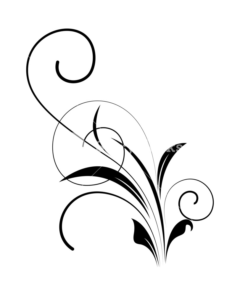 811x1000 Flourish Vector Design Element Royalty Free Stock Image