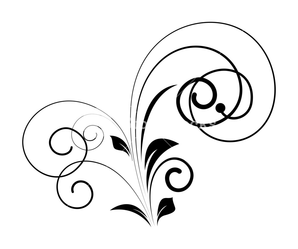 Flourish Vector Art at GetDrawings | Free download