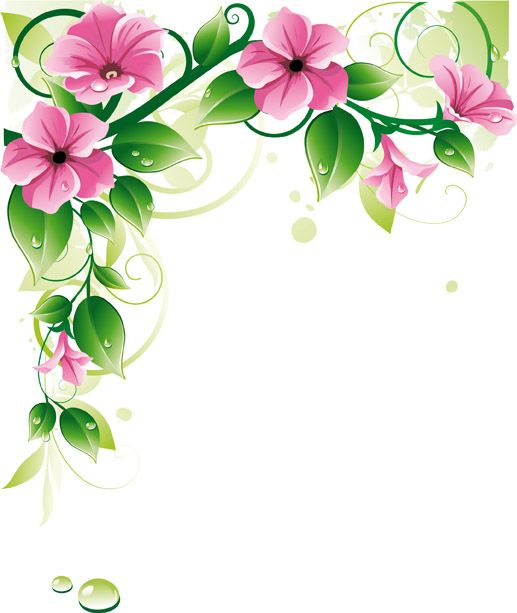 517x613 Flower Border U0026amp Background Vector Free Vector 4vector