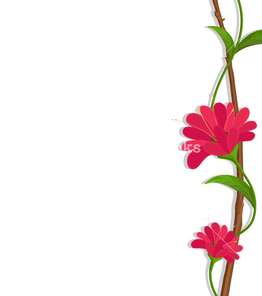 886x1000 Red Flowers Border Vector Royalty Free Stock Image