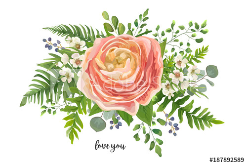 500x334 Flower Bouquet Vector Watercolor Element. Peach, Pink Rose