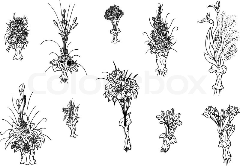 800x555 Hand Draw Set Of Flowers Bouquet Stock Vector Colourbox