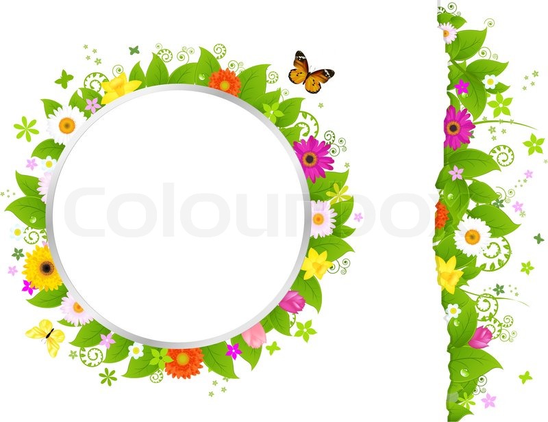 800x617 Circle And Border From Flowers, Isolated On White Background