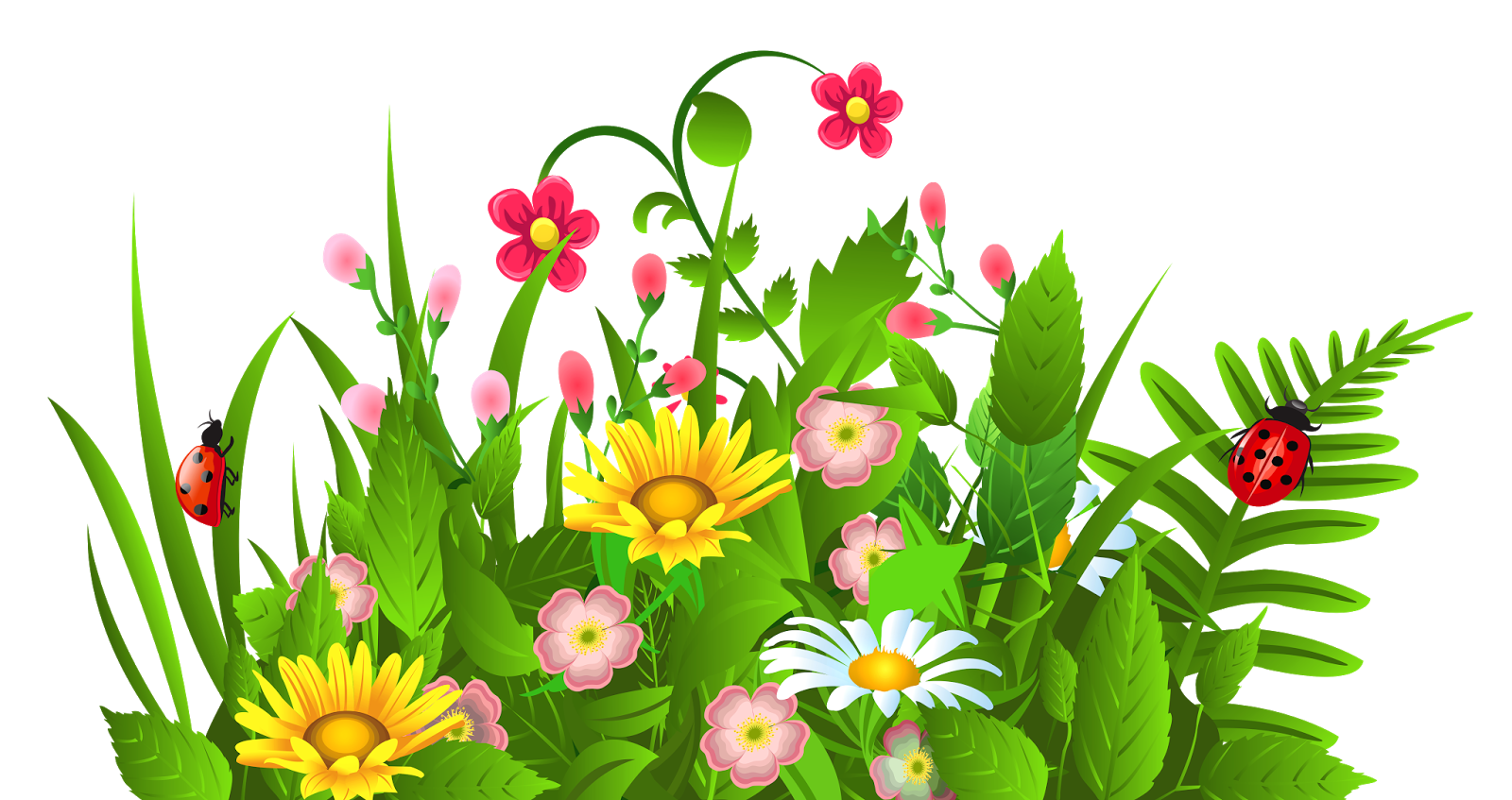 1600x847 Vector Flower
