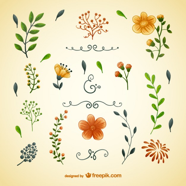 626x626 Flowers And Leaves Illustrations Vector Free Download