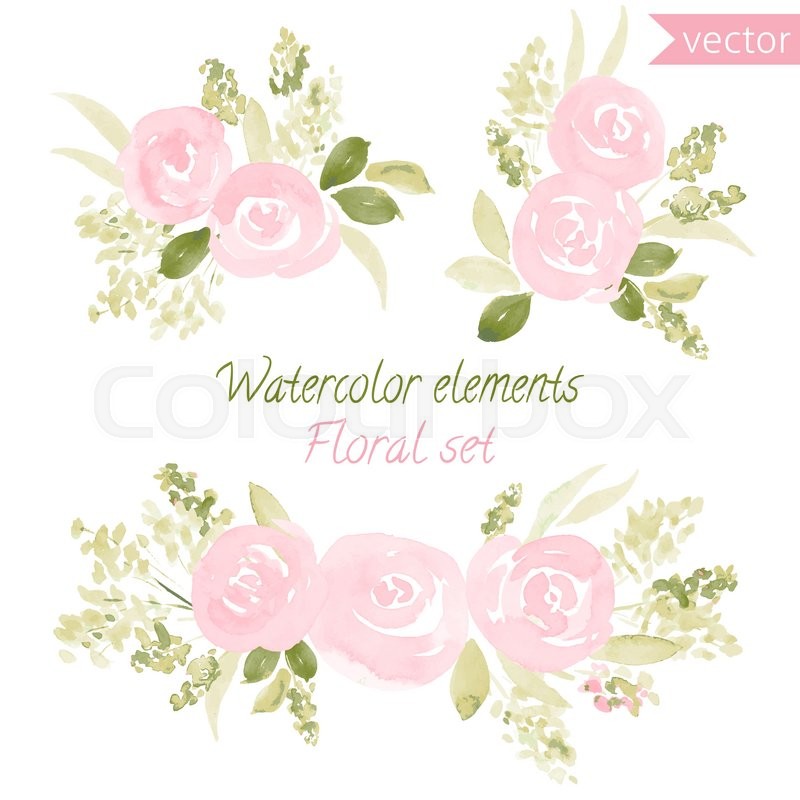 800x800 A Set Of Watercolor Roses Flowers And Leaf. Vector Collection With