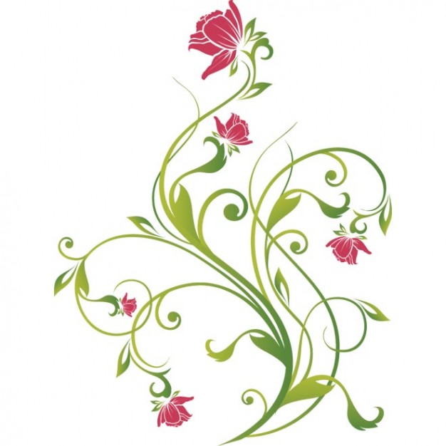 626x626 Pink Flower With Green Leaf Vector Illustration