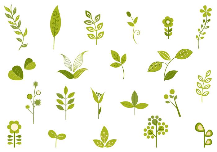 700x490 Retro Leaf Vector Pack