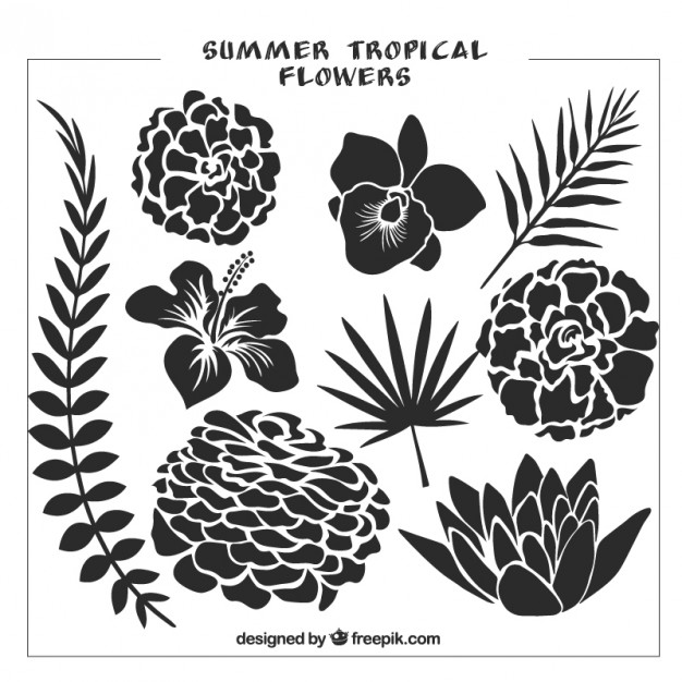 626x626 Set Of Black Wild Flowers And Leaves Vector Premium Download