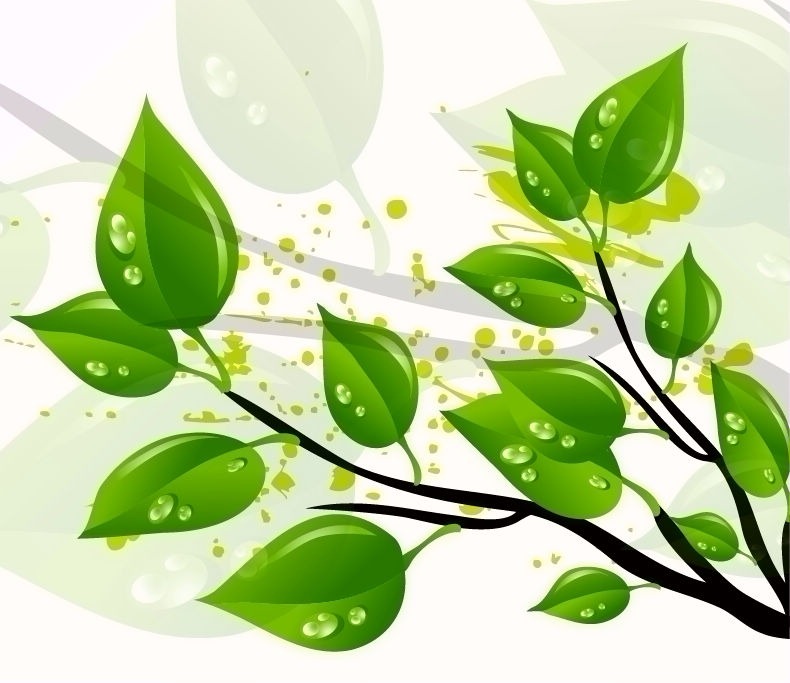 790x683 Abstract Green Leaves Vector Illustration Free Vector Graphics