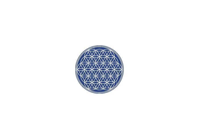 700x490 Flower Of Life