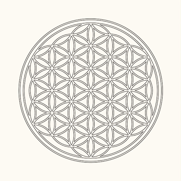 Flower Of Life Vector at GetDrawings | Free download