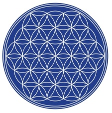 225x226 Flower Of Life Free Vector 4vector