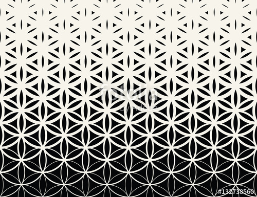 500x385 Abstract Sacred Geometry Black And White Gradient Flower Of Life