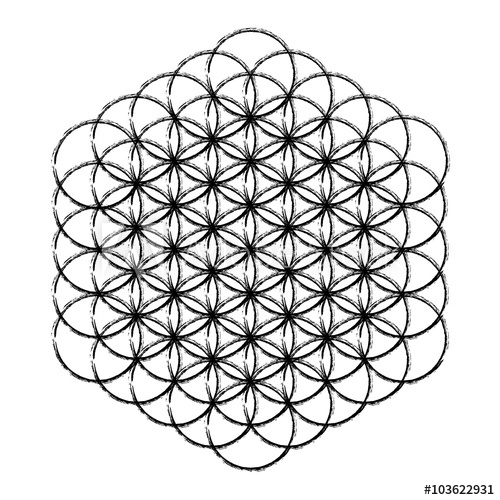 500x500 Flower Of Life Vector
