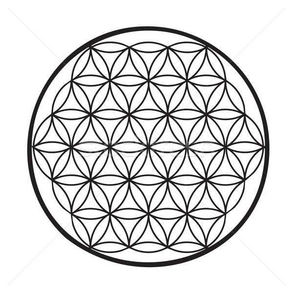 600x600 Flower Of Life Vector Illustration Elitsa Zhekova (Elly L
