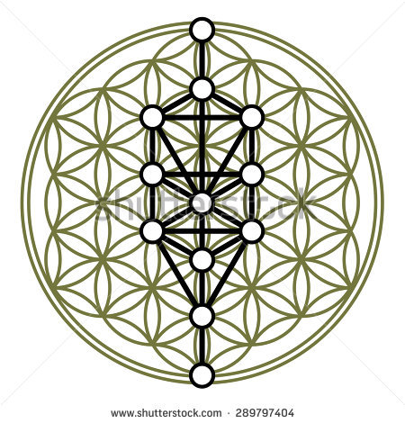 Flower Of Life Vector at GetDrawings | Free download