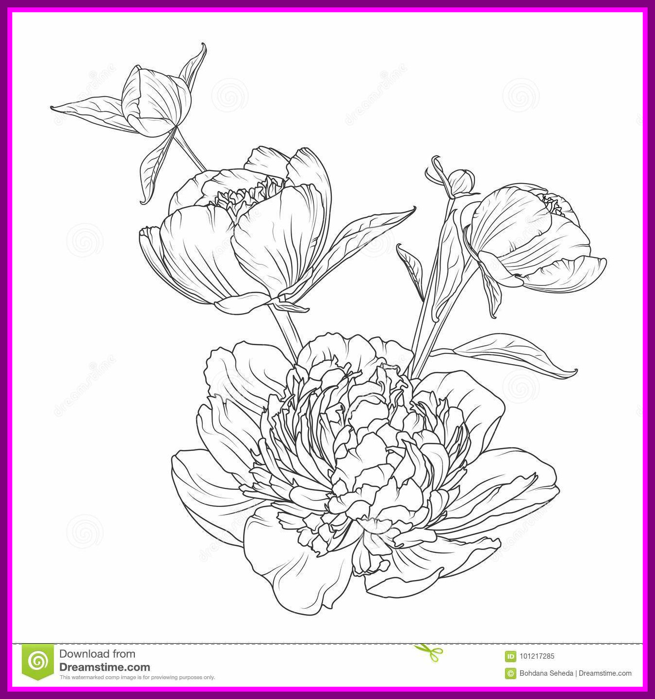 1350x1440 Marvelous Peony Rose Bouquet Composition Isolated Stock Vector