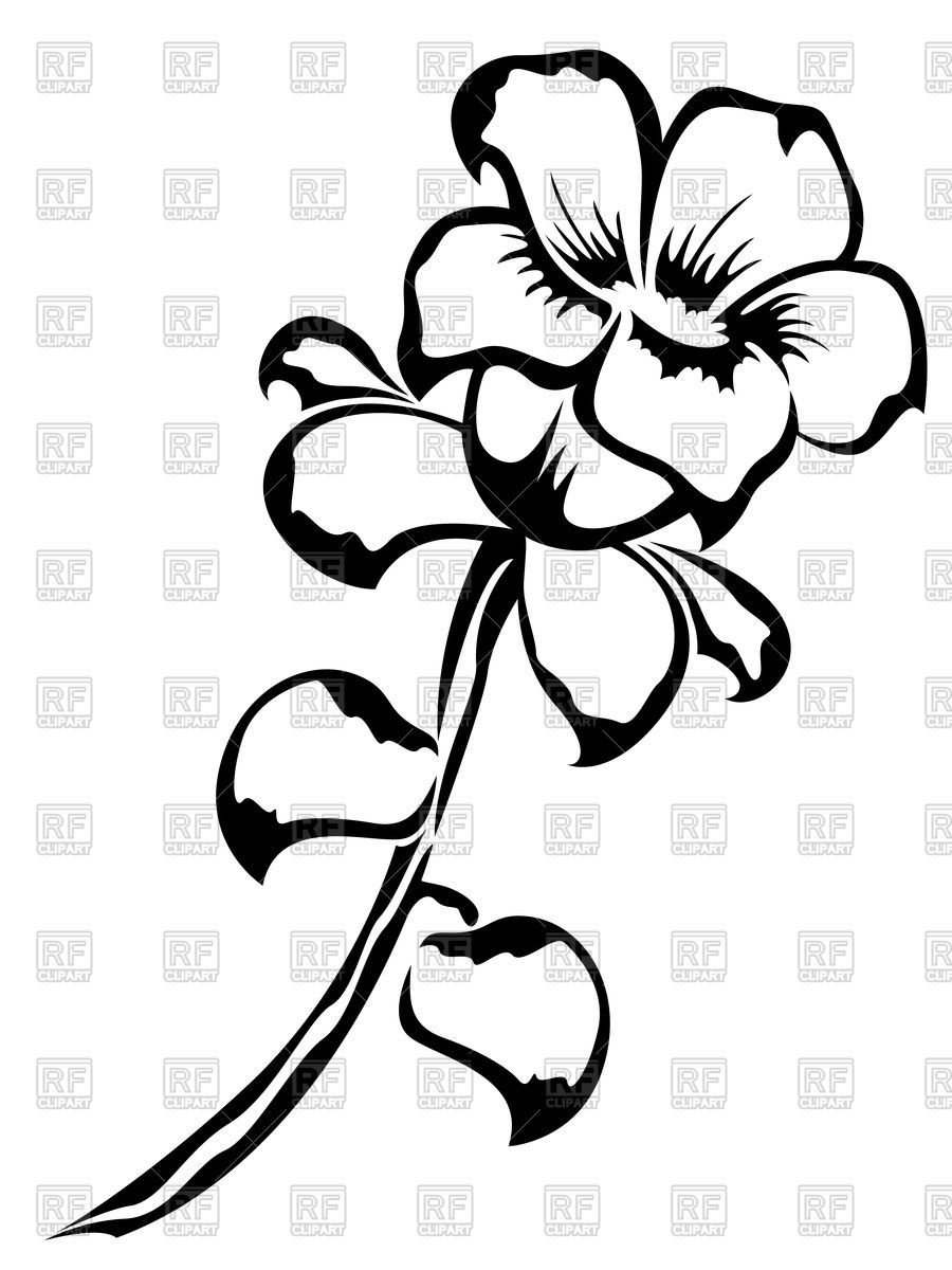 900x1200 Outline Of Flower Vector Image Vector Artwork Of Plants And