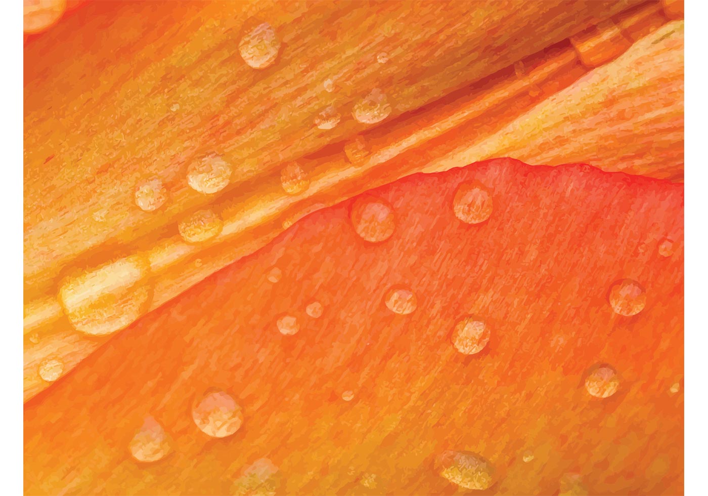 1400x980 Flower Petal Free Vector Art