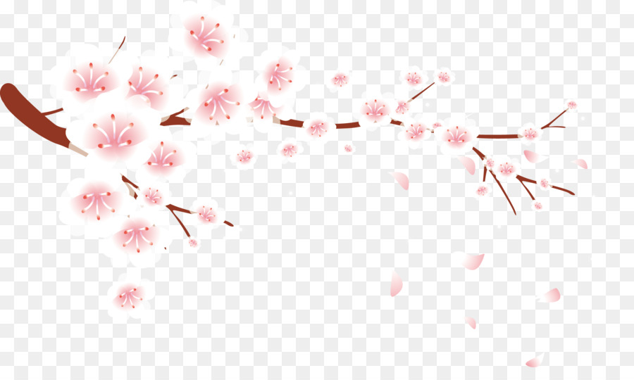 900x540 Petal Plum Blossom Flower