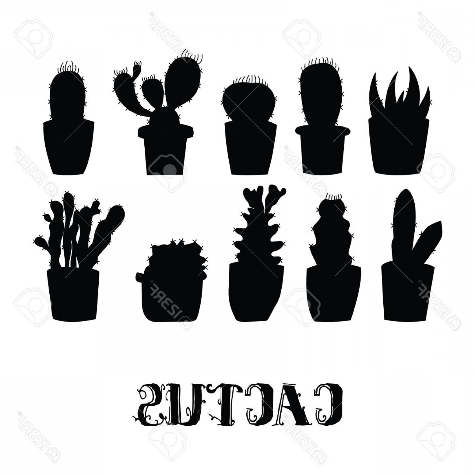 1560x1560 Photostock Vector Cactus Silhouettes In Flower Pots Vector