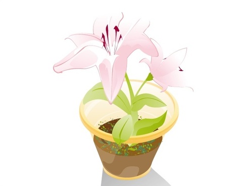 491x368 Flower Pots Vector Free Vector Download (10,831 Free Vector) For