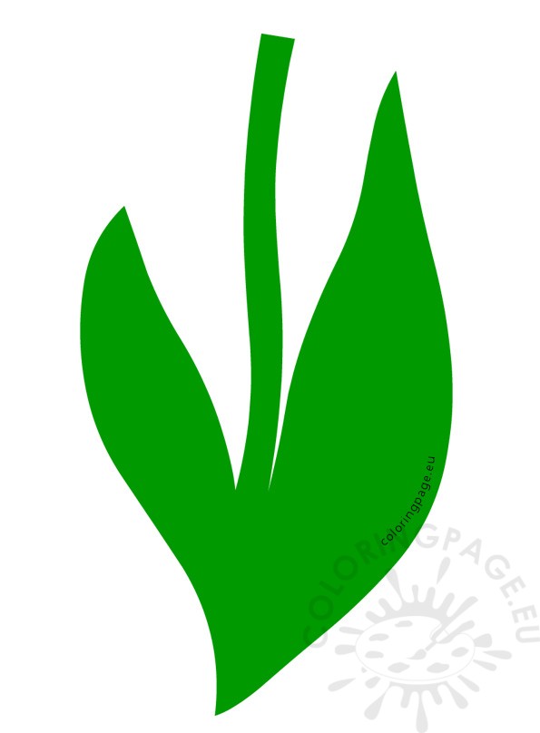 595x808 Flower Stem Leaf Vector Coloring Page