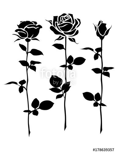 380x500 Vector Decorative Set Of Rose With Long Stem. Vector Flower