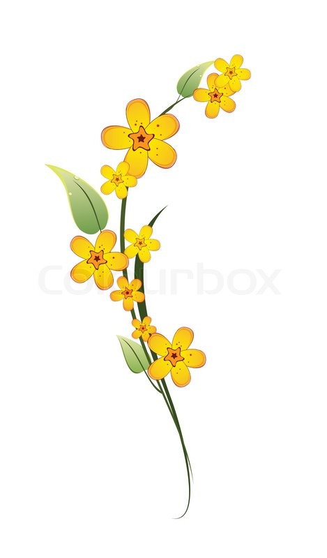 469x800 Yellow Flower On A Stem With Green Leaves On White Background