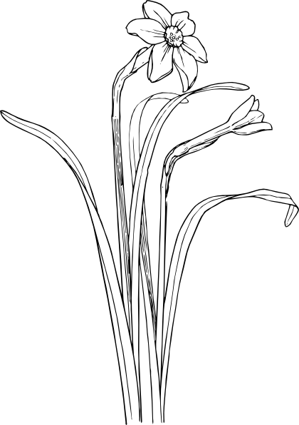 420x596 Flower Plant Stem Bush Clip Art Free Vector 4vector