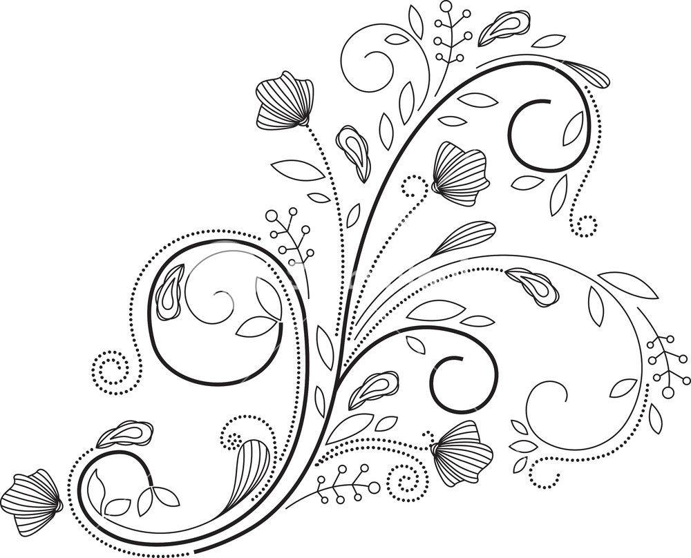 1000x808 Floral Swirl Vector Element Royalty Free Stock Image