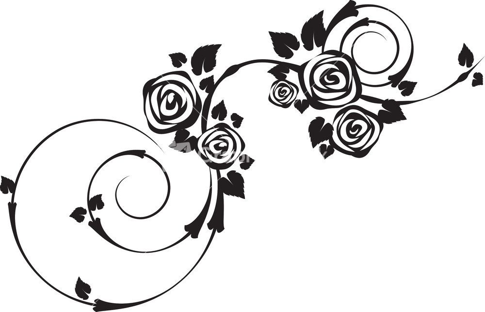 1000x643 Vector Floral Swirls