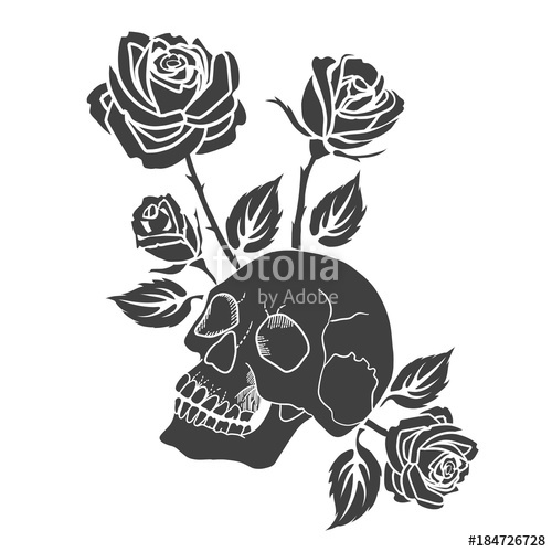 500x500 Human Skull And Roses Tattoo Vector Illustration. Stock Image And