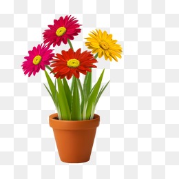 260x260 Vase Vector Png Images Vectors And Psd Files Free Download On