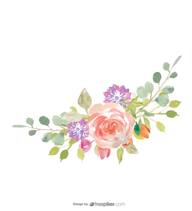 800x876 Freepiker Water Color Flower Vector Design