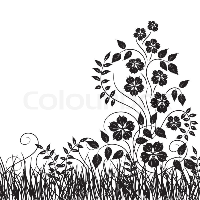 800x800 Grass And Flower, Vector Illustration Stock Vector Colourbox