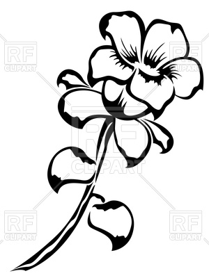 300x400 Outline Of Flower Vector Image Vector Artwork Of Plants And
