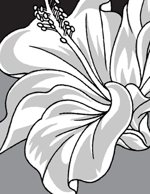 300x387 Hawaiian Flower Vector Art Vector Genius