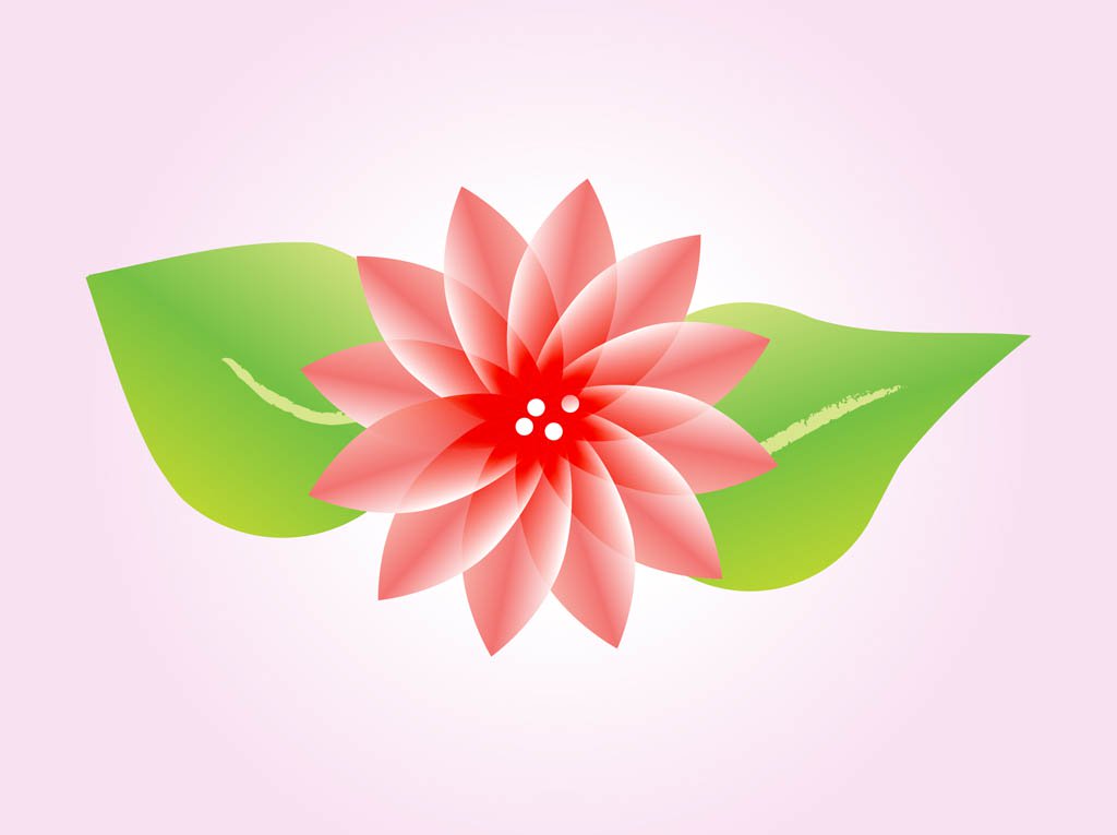 1024x765 Lotus Flower Vector Vector Art Amp Graphics