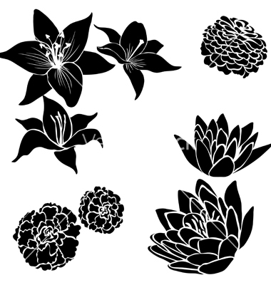 Flower Vector Black