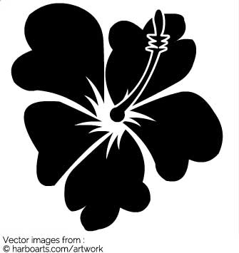 335x355 Download Flower From Hawaii