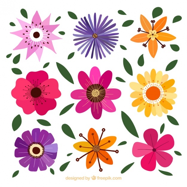 626x626 Flower Vectors, Photos And Psd Files Free Download