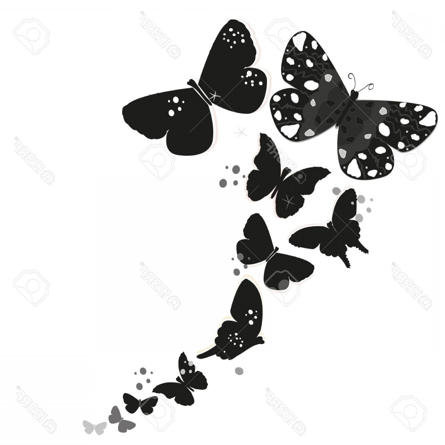 1560x1560 Photostock Vector Black Butterfly Design And Abstract Decorative