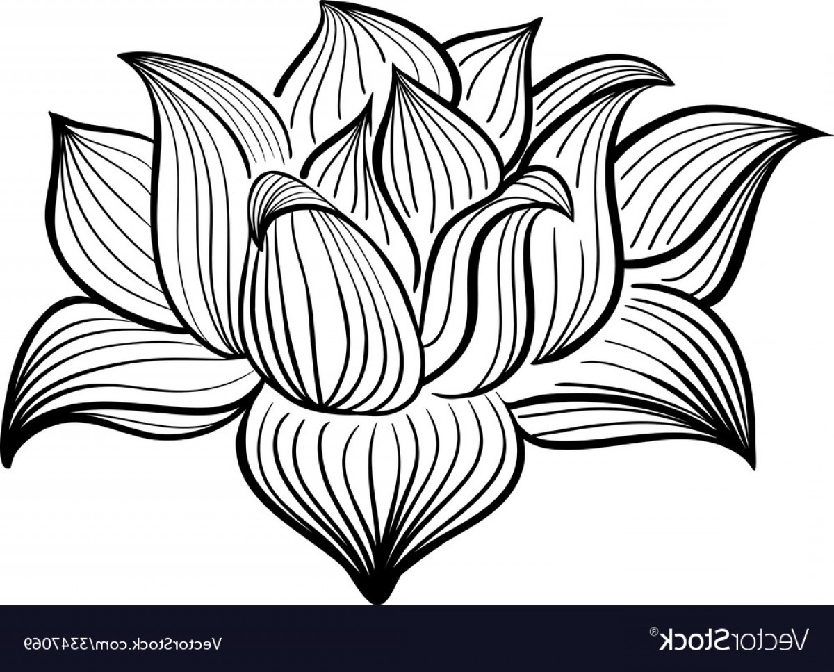1200x967 Black And White Vector Graphics Floral Lazttweet