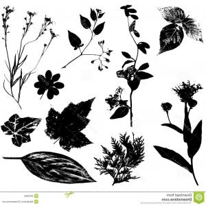 300x300 Stock Illustration Abstract Flowers Vector Black Simple Orangiausa