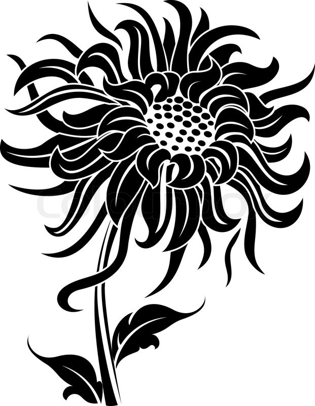 621x800 Black Flower Isolated On White For Design Stock Vector Colourbox