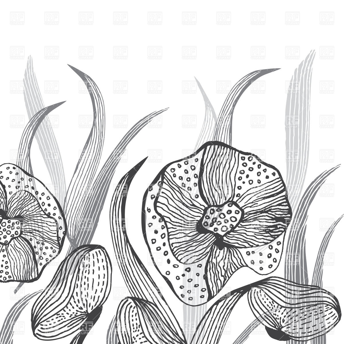 1200x1200 Black And White Hand Drawn Flowers Vector Image Vector Artwork