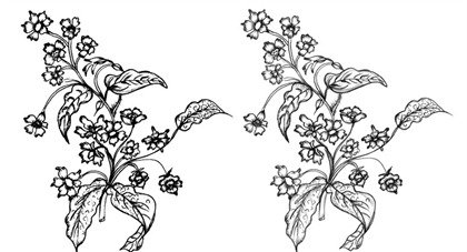 420x227 Free Sketchy Flowers Vector And Photoshop Brush Psd Files, Vectors